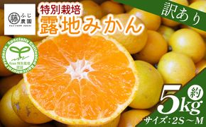ふじ農園の露地みかん 訳あり品 5kg (2S～M) - 国産 蜜柑 ミカン 柑橘 果物 フルーツ 訳アリ ご家庭用 家庭用 自宅用 ふじ農園 高知県 香南市 常温 fn-0005