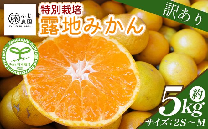 ymszӂ_̘In݂ 󂠂i 5kg (2S`M) - Y  ~J k ʕ t[c A ƒp ƒp p ӂ_ m s 퉷 fn-0005