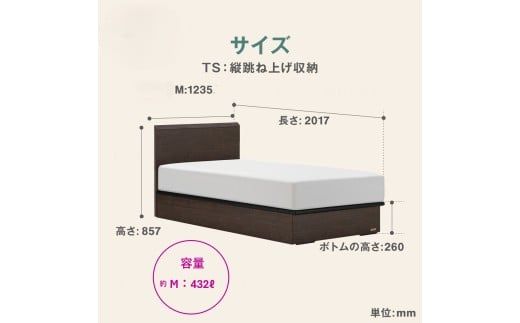 フランスベッド ファディア FAD-F1 TS（縦跳ね上げ収納260mm） M セミダブル　R-290