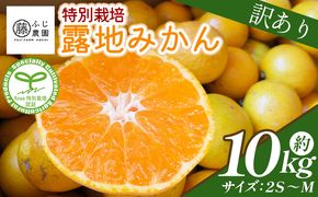 ふじ農園の露地みかん 訳あり品 10kg (2S～M) - 国産 蜜柑 ミカン 柑橘 果物 フルーツ 訳アリ ご家庭用 家庭用 自宅用 ふじ農園 高知県 香南市 常温 fn-0006