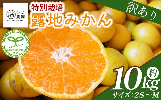 �y���m������s�z�y2026�N10���ȍ~�����z�����z�ӂ��_���̘I�n�݂��� �󂠂�i 10kg (2S�`M) - ���Y ���� �~�J�� ���k �ʕ� �t���[�c ��A�� ���ƒ�p �ƒ�p ����p �ӂ��_�� ���m�� ����s �퉷 fn-0014