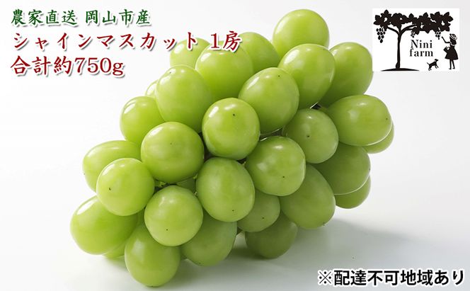 ぶどう 2026年 先行予約 【平均糖度20度】農家こだわりの 最高ランク シャイン マスカット 1房 約750g 特秀クラス ブドウ 葡萄 岡山県産 フルーツ 果物 ギフト 【 Nini farm 農家 直送 】 