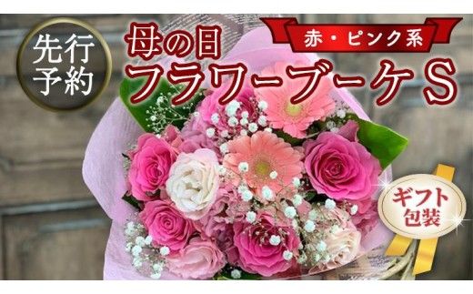 【 母の日 】 ブーケ S 赤 ・ ピンク 系 ギフト プレゼント 花 お祝い 贈答 記念日 [CT088ci]