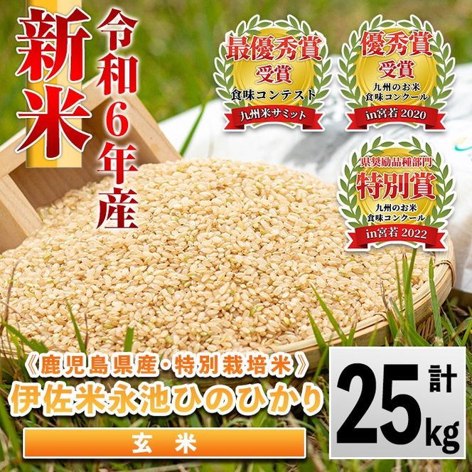 isa200 令和6年産 新米 特別栽培米 永池ひのひかり玄米(25kg) 鹿児島でも極良食味のお米が出来る永池地区で作ったお米！九州米サミット食味コンテスト最優秀賞2回受賞【エコファーム永池】