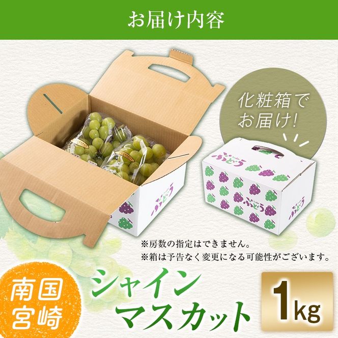 【令和8年発送 先行予約】小林市産 シャインマスカット 1kg（ブドウ ぶどう シャインマスカット マスカット フルーツ 果物 先行受付 限定）