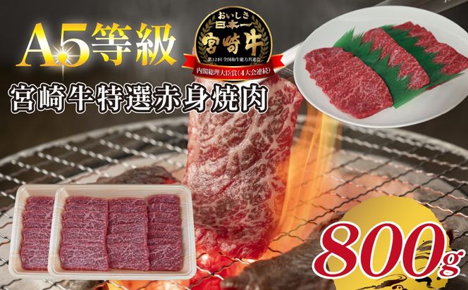 y{茧юszyA5z{苍IԐgē 800g {苍 uh a  ē Ia Ԑg A5 {茧 юs