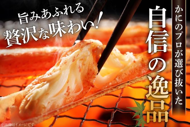 【CF01】訳あり ボイル ずわいがに 肩付き脚 総重量1kg [カネダイ 宮城県 気仙沼市 20564325_CF01] カニ かに 魚介類 ズワイガニ ずわい蟹 ズワイ蟹 ずわい ズワイ 蟹 カニ カニ脚 蟹脚 不揃い 規格外 海鮮 ご褒美