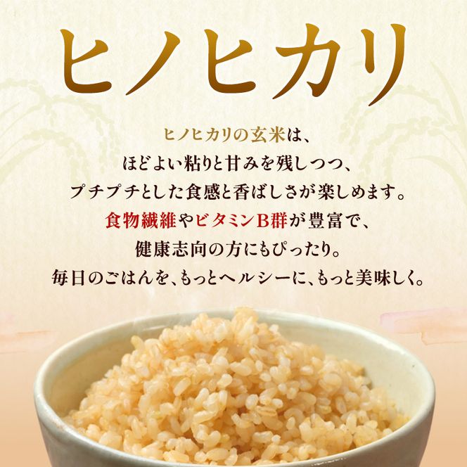 米 令和8年産 神大のおこめ（特別栽培米ヒノヒカリ）玄米30kg お米