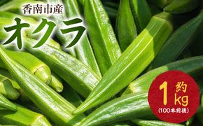 【2026年発送分】オクラ1kg(100本前後) - 冷蔵 on-0032