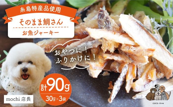 [糸島特産品使用] 無添加 そのまま 鯛さん 3袋 糸島市 / 株式会社コバヤシ[coco.kina] 犬 おやつ ドッグフード [ASL002] 無添加 ドッグフード おやつ 魚 ジャーキー 犬 ペット