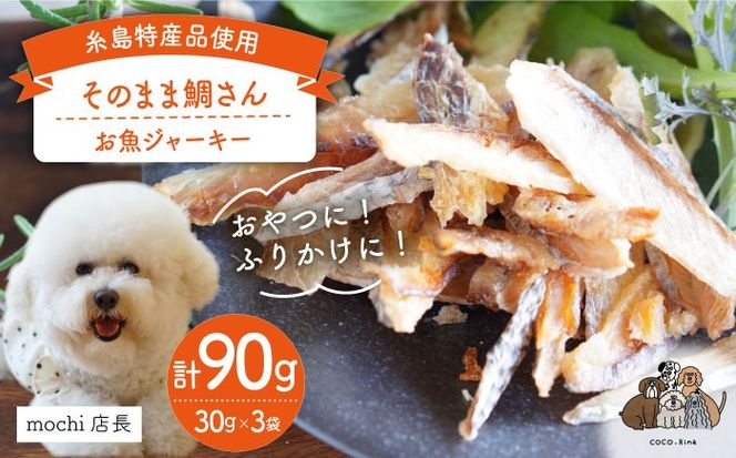 【糸島特産品使用】 無添加 そのまま 鯛さん 3袋 糸島市 / 株式会社コバヤシ【coco.kina】 犬 おやつ ドッグフード [ASL002] 無添加 ドッグフード おやつ 魚 ジャーキー 犬 ペット