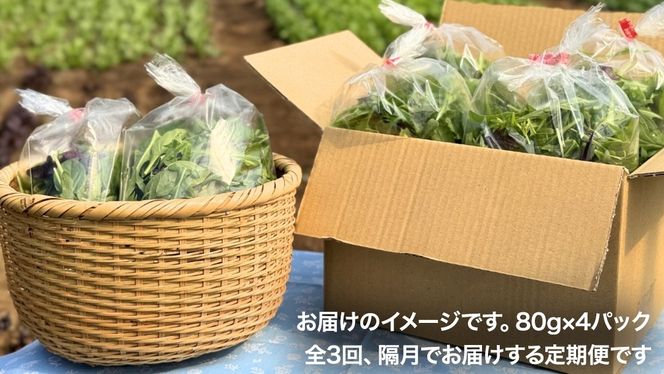【 定期便 】全3回隔月でお届け！ 黒澤農園 の ベビーリーフサラダ （ 80g × 4パック ）ファミリーサイズ ベビーリーフ サラダ 生野菜 食べやすい 若葉 ファミリー 旬 新鮮 国産 彩り 頒布会 野菜 葉野菜 国産 直送 定期 [DS05-NT]