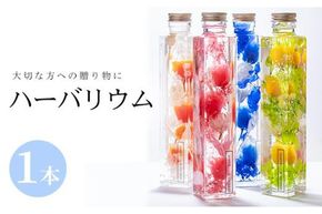 ハーバリウム (高さ21.5cm×横幅約4cm・四角瓶) 花 フラワー 贈り物 プリザーブドフラワー ドライフラワー インテリア 大分県 佐伯市【DZ03】【(株)花音】