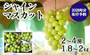 【贈答用】【2026年発送分 先行予約】 山梨おいしい果物園のシャインマスカット 1.8kg-2.0kg (2~4房)　産地直送 フルーツ シャイン マスカット ブドウ ぶどう 山梨 やまなし 富士川町