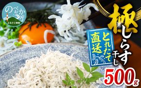 【とれたて直送】極しらす干し 500g N065-YA0509