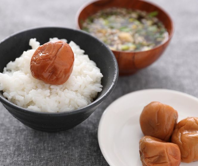 紀州南高梅　つぶれ梅250g×4   T162