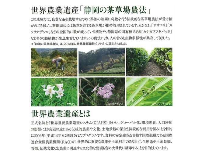 訳あり 世界農業遺産 茶草場農法茶 200g 5袋 1kg 静岡県産 深蒸し煎茶 岡部茶 日本茶 静岡県 飲料 飲み物 健康 カテキン ビタミン 静岡県 藤枝市