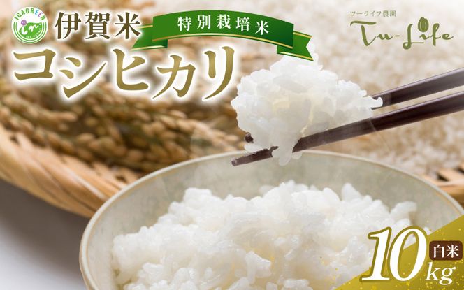 伊賀産 コシヒカリ（白米）10kg【tuli0003A】