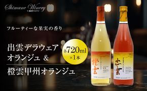 オレンジワイン2種セット 322032_CL005