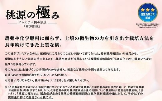 ◆2025年夏発送◆桃源の極み～産直・桃・約1kg×3回～ ｜ 先行予約 予約 数量限定 桃 もも モモ 果物 くだもの フルーツ 詰め合わせ 福島 ふくしま　※離島への配送不可　※2025年7月中旬～9月上旬頃に順次発送予定