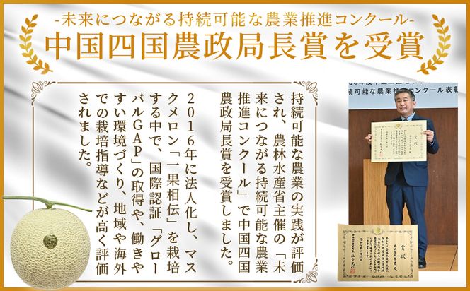 メロン 【7日程度で発送】一果相伝マスクメロン 2玉入り - 最短配送 送料無料 めろん 青肉 果物 くだもの フルーツ 贈答用 贈答品 贈り物 ギフト 産地直送 篤農 高知県 香南市 常温 tn-0065