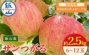 【先行予約丨2026年9月上旬より順次発送】サンつがる【約2.5kg(6〜12玉)】(At-003)丨長野県 飯山市 おすすめ ランキング おいしい 高評価 大人気 先取り 産地直送 りんご