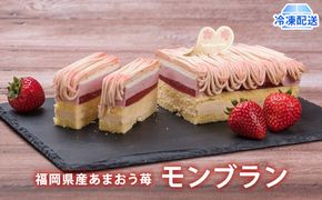 2026年2月発送　ケーキ Strawberry Fields 福岡産 あまおう 苺 モンブランケーキ 配送不可 離島 お菓子 スイーツ 苺のモンブラン デザート おやつ ティータイム 