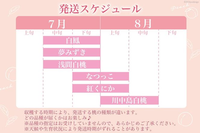 【2025年発送】【良品】訳あり 家庭用 朝獲れ もぎたて 桃 約2.1kg（4～6玉） [韮崎市桃農家の産直 山梨県 韮崎市20742792] もも 桃 モモ フルーツ 果物 山梨県産 産地直送 期間限定 季節限定 冷蔵