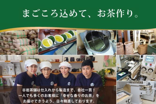 お茶 ティーバッグ 特撰 みやざき煎茶 紐付き 5袋 セット [谷岩茶舗 宮崎県 日向市 452061627] ティーパック 茶 茶葉 緑茶 新茶 お茶の葉