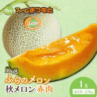 【2026年秋発送】厳選ふらのメロン [秋メロン] 赤肉 1玉（2.0～2.5kg）糖度15度以上 [ファームまつもと] メロン 赤肉メロン フルーツ 果物 新鮮 甘い 贈り物 ギフト ブランドメロン 秋 北海道 富良野