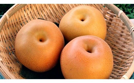 極上の雫 『 豊水 』 5kg ( 自家用 ) 2026年産 先行予約 フルーツ 果物 国産 日本産 梨 ナシ なし 和梨 [DJ002ci]