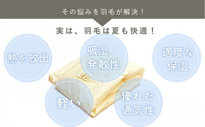 洗える 羽毛 肌掛け布団 1枚 日本製 シングル ダックダウン85％ 夏用 322032_BD037