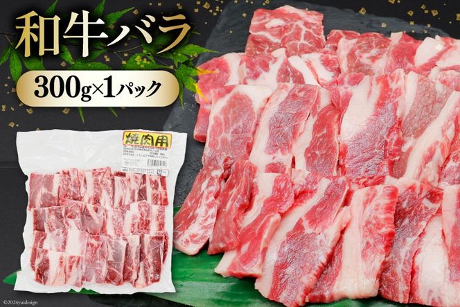 肉 セット 宮崎県産牛 豚 鶏 バーべキューセット 計1.8kg [甲斐精肉店 宮崎県 美郷町 31as0072] 焼肉セット 冷凍 小分け 牛肉 豚肉 鶏肉 牛バラ 豚バラ ロース もも モモ 鶏もも BBQ バーベキュー 焼肉 焼肉用