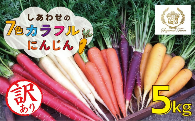 〈予約受付〉 メディア出演多数！【期間限定】（訳あり） 冬の寒さでぎゅっと濃い！虹色のカラフルにんじん 5kg 鈴盛農園 農家直送 甘い スーパーフード 健康 自慢 ジュース サラダ ギフト 贈り物 βカロテン ポリフェノール リコピン ジューシー 規格外 自慢 おためし H022-017