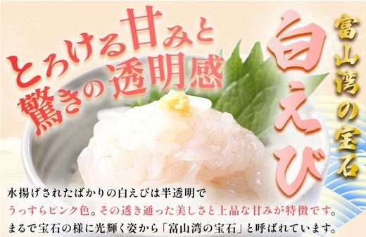 白えび刺身100g×2個