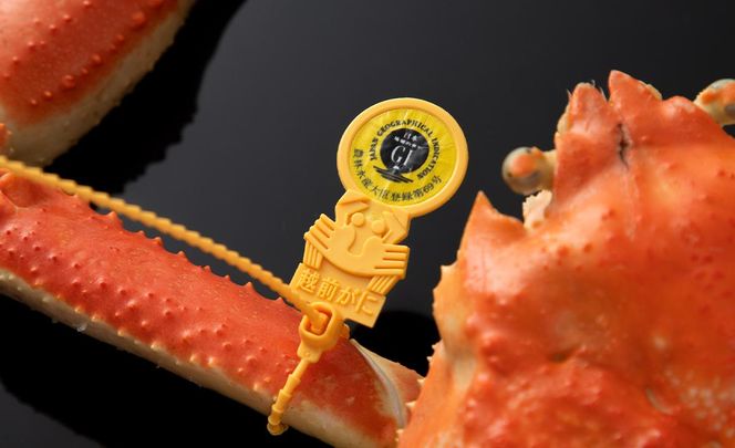 越前ガニ ボイル 約1kg 高島屋 選定品 ズワイガニ かに 海鮮 海産物 海の幸 魚介 魚介類 越前かに 越前カニ 越前がに ずわいがに ずわい蟹 カニ 蟹 ボイルガニ 冷蔵 冷蔵配送 福井県 福井 若狭町 若狭