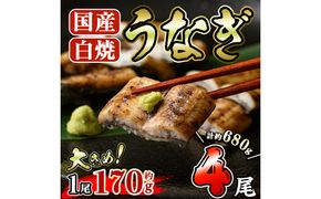 国産 うなぎ 白焼き (約170g×4尾) 国産 鰻 ウナギ 小分け 真空包装 真空パック 【丸正水産】【AW-20】