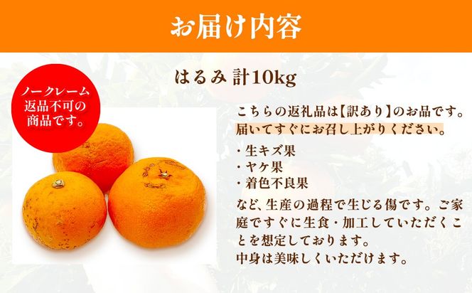 【先行予約】【訳あり】はるみ計10kg※離島への配送不可（2027年2月中旬頃より順次発送予定）IKTAC032