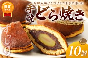 【ふるプレ限定品】【特別寄附額】手焼どら焼き　10個入　AM00678P