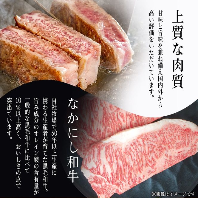 宮崎県西ノ原牧場・なかにし和牛サーロインステーキ 400g（国産 牛肉 肉 黒毛和牛 お肉 赤身 サーロインステーキ ステーキ)