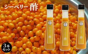 シーベリー酢 3本セット 北海道 南富良野町 シーベリー ベリー 酢 調味料 セット 詰合せ ドレッシング ソース たれ シーベリー 酢 