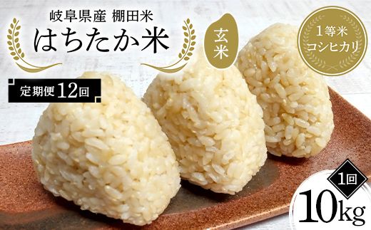 y򕌌Ðszy12ցz򕌌Y Ic 1ăRVqJ ͂ 10kgi5kg×2܁j F4N-2639