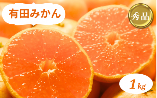 和歌山県産 有田みかん 1kg 秀品 ※2024年10月下旬～2025年1月中旬頃に順次発送予定（お届け日指定不可)【smt003】