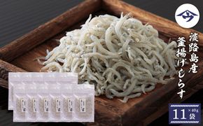 淡路島産 釜揚げしらす 40g×11袋　シラス