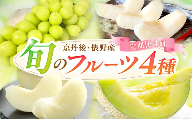【定期便4回】京丹後・俵野産 旬のフルーツ4種　FS00042