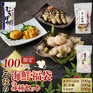 【年末限定】 三陸の海鮮福袋 3種セット ホタテ貝柱200g 蒸し牡蠣200g むきほや200g ほたて 帆立 貝柱 貝 海鮮 魚貝類 魚介類 牡蠣 かき ホヤ hoya ホタテバター 醤油 バター お刺身 刺身 さしみ ご飯 おかず 三陸産 岩手県 大船渡市  おせち 年末 年始