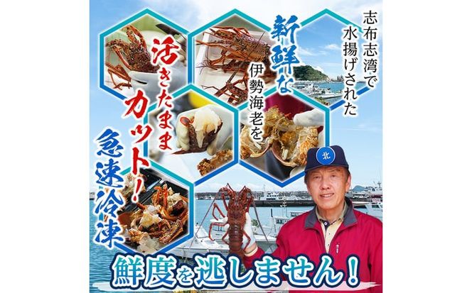 【数量限定】鹿児島県志布志湾産 カット済み天然伊勢海老＜味噌汁用＞計540g(270g×2P) b5-204