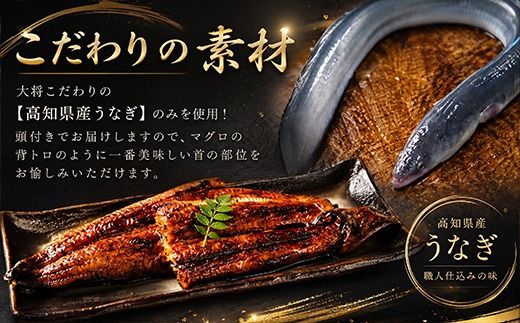 ７０年つぎ足しの秘伝のたれ！初音の厳選高知県産うなぎ蒲焼き２尾【3回定期便】_冷凍 調理済み 時短 湯せん お弁当 個包装 惣菜 小分け 子供 簡単調理 お取り寄せ 人気 湯煎 お湯ぽちゃ レトルト 温めるだけ_hn111