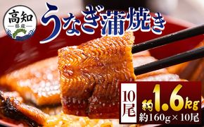 うなぎ 高知県産蒲焼きうなぎ １６０ｇ １０尾 計１６００ｇ fb-0158