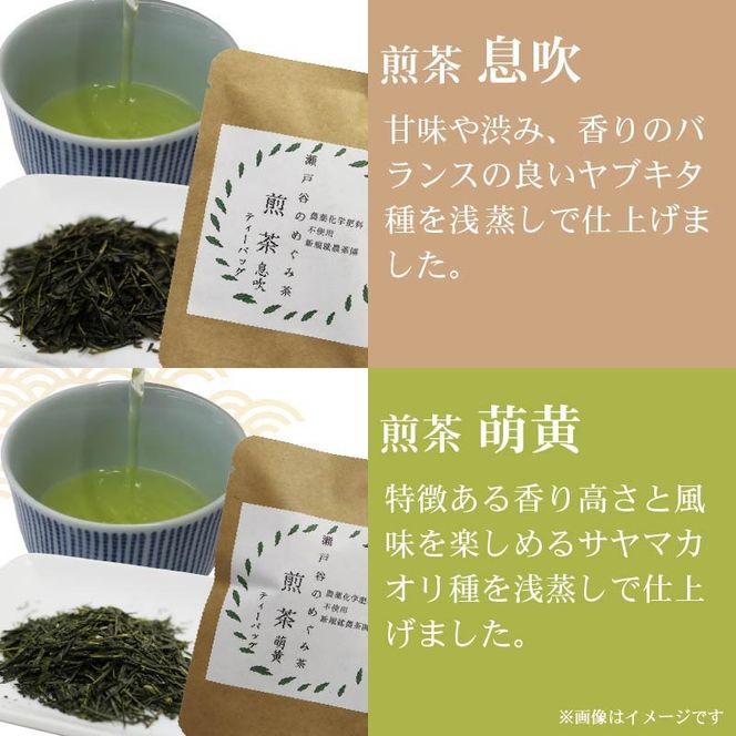 お試し ティーバッグ 7種セット 茶葉 煎茶 釜炒り茶 春 夏 秋 冬 息吹 萌黄 こかげ 薫風 和紅茶 ほうじ茶 薪火三年番茶 浅蒸し茶 静岡県産 静岡茶 飲料 おちゃ 静岡県 藤枝市